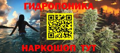 ешки Лесосибирск